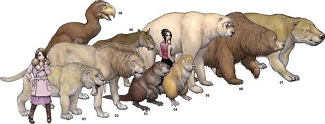 extinct megafauna | mega -fauna | Pinterest