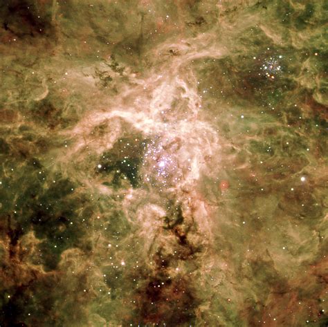 File:Tarantula Nebula.jpg - Wikipedia, the free encyclopedia