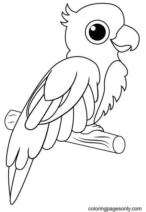 Parrot Coloring Pages Printable for Free Download