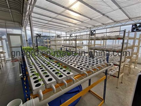 Agricultural Land Hydroponics Equipment Nft Channels Commercial ...