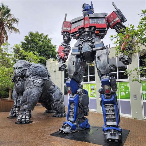 Transformers Rise Of The Beasts Optimus Prime & Optimus Primal Statues World Tour: Australia ...