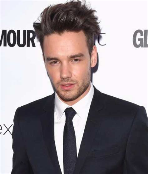 Liam Payne Haircut - Men's Hairstyles & Haircuts X