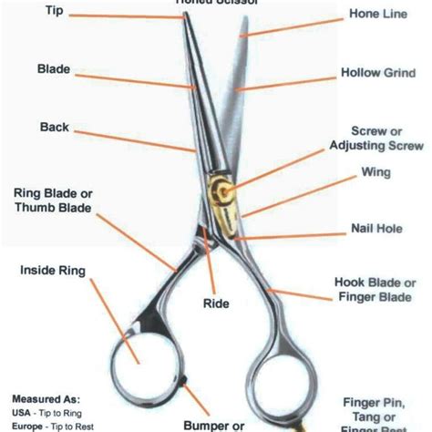 Scissor terminology | Hair cutting shears, Scissors, Hair