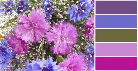 Beautiful Bouquet Flower, Color Palette Different Design Stock Photo - Image of iris, design ...