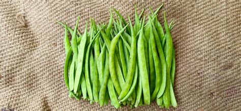 Guar bean fiber: What is it and why is it so good for gut health? | The Optimist Daily