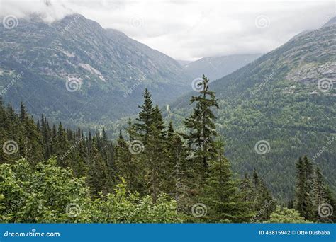 Mountains in Southeastern Alaska Stock Photo - Image of summer ...