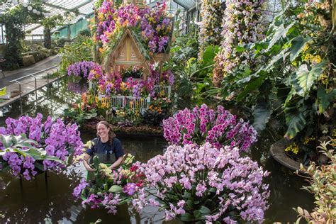 Everything You Need To Know About Orchids Festival 2019 at Kew Gardens