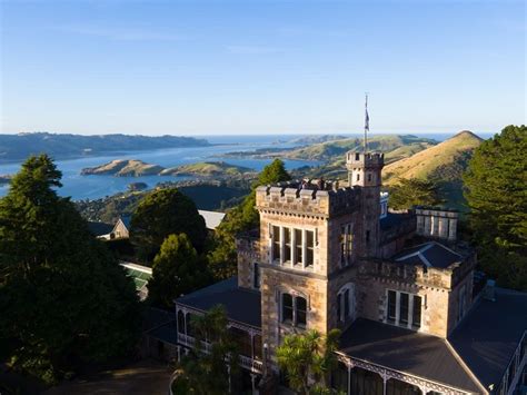 Best 25 Things to do in Dunedin with kids | New Zealand