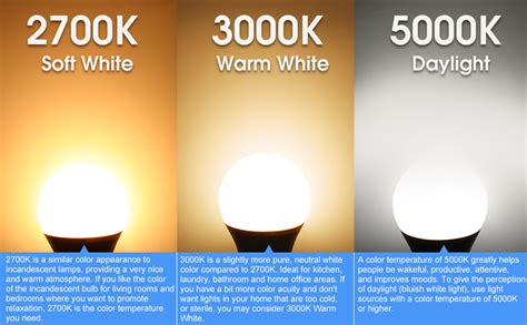 40W Equivalent A19 LED Light Bulb, Warm White 3000K, E26 Standard Base, UL Listed, Non-Dimmable ...