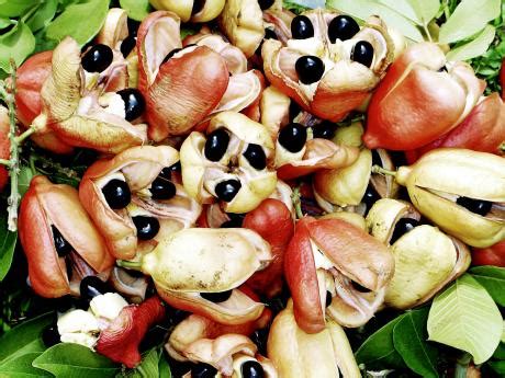 Ackee poisoning in Jamaica | Health | Jamaica Gleaner