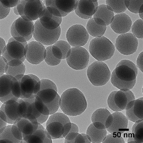 Mesoporous Silica Nanoparticles – nanoComposix