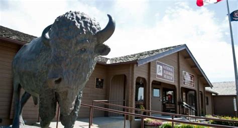 National Buffalo Museum Named "Best Museum in North Dakota" | News Dakota