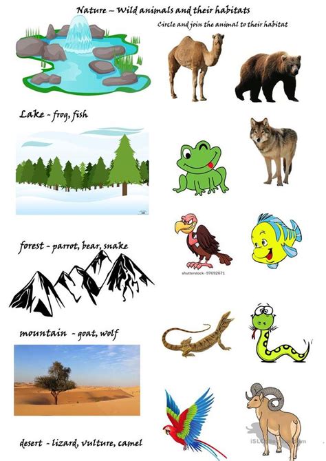 Animals And Their Habitats Chart