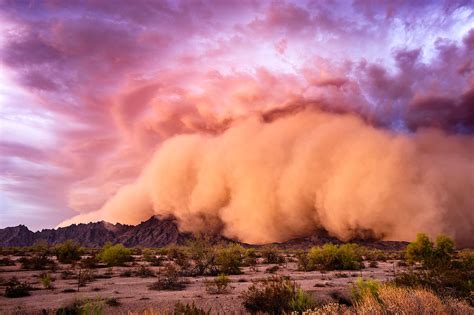 Explainer: Desertification and the role of climate change