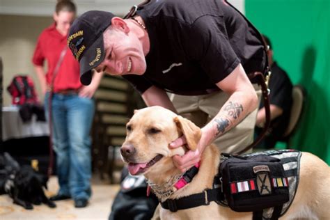 Healing 4 Heroes Pairs Veterans With Man's Best Friend