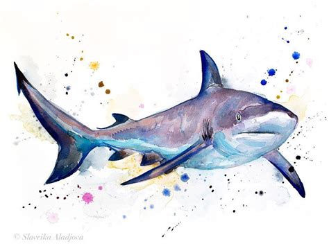 Grey reef shark watercolor painting print by Slaveika | Etsy | Shark ...