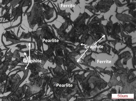 Optical microstructure of the grey cast iron substrate. . | Download Scientific Diagram