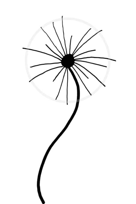 How to draw a dandelion: Easy dandelion drawing step by step tutorial ...