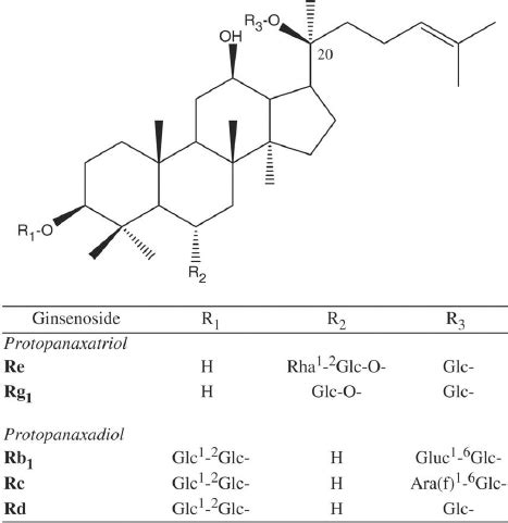 Structure of the representative ginsenosides in ginseng. | Download ...