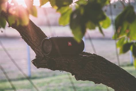 Black Jbl Bluetooth Speaker on Tree Branch · Free Stock Photo