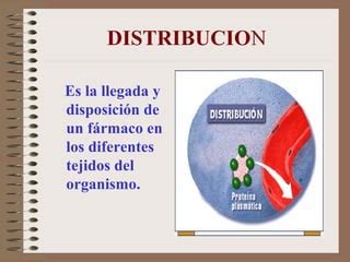 Farmacocinetica distribucion | PPT