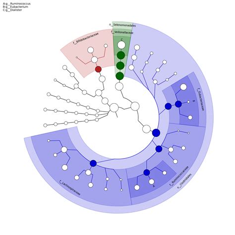 Whole-genome Shotgun Metagenomics Sequencing Data Analysis