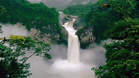 Waterfall Between Green Trees Covered Forest 4K HD Nature Wallpapers ...