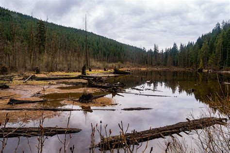 Hiking Buntzen Lake near Port Moody - Best Hikes BC