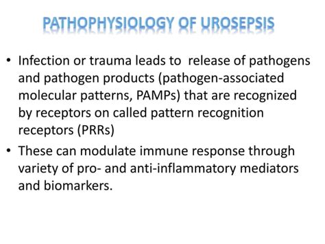 Urosepsis | PPT