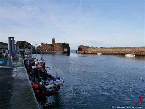 Dunbar Harbour - East Lothian: Complete Visitor Guide | Out About Scotland