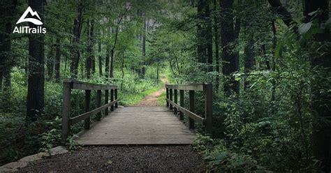 Best trails in Martin Creek Lake State Park, Texas | AllTrails