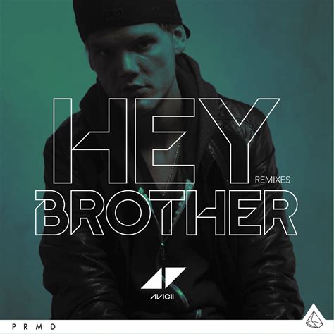 Hey Brother Album Cover by Avicii