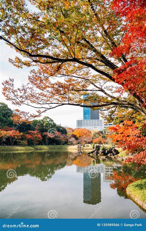 Koishikawa Korakuen Garden with Autumn Maple in Tokyo, Japan Stock ...