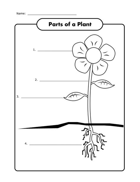 Free Science Worksheets | Activity Shelter