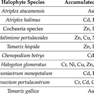 Examples of the usefulness of halophytes in particular phytoremediation... | Download Scientific ...