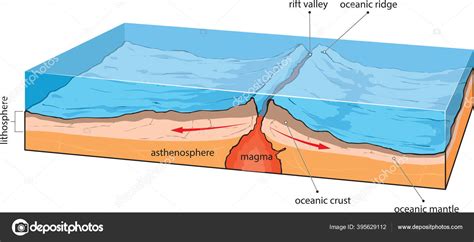 Vector Illustration Shows Oceanic Crust Divergence Stock Vector Image by ©Lukaves #395629112