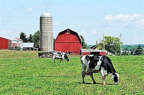 Calling Schoharie, Otsego & Delaware County Farms for Family Farm Day!