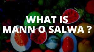 Mann-O-Salwa the Food of Jannah for Bani Israel - Islamic Articles