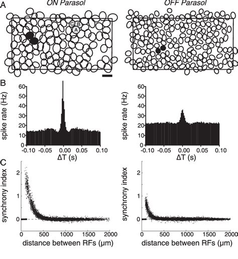 Figure 1 from The Structure of Multi-Neuron Firing Patterns in Primate ...