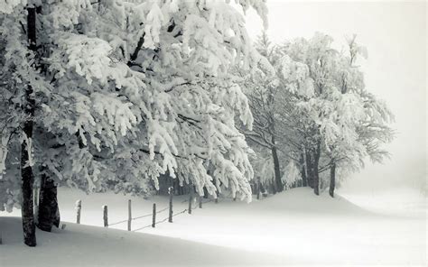 Snowy Christmas Scenes Wallpaper - WallpaperSafari