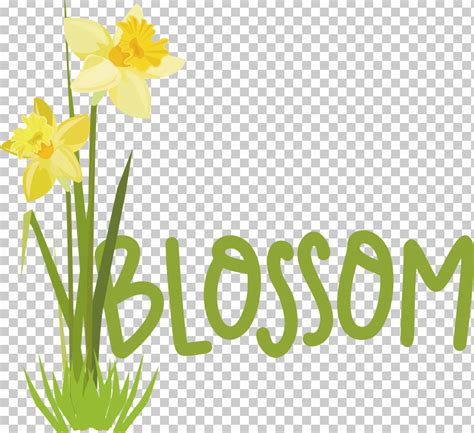 Plant Stem Daffodil Font Logo Yellow PNG, Clipart, Biology, Daffodil ...