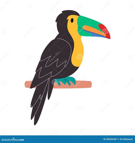 Black Body and Colorful Beak Bird Keel Billed Toucan Species Pretty Cute Nature Animal Wildlife ...