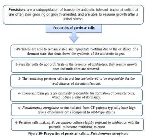 Pseudomonas aeruginosa and the multifactorial antibiotic resistance ...