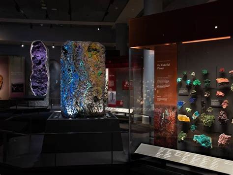 Best Museum Exhibits NYC Has For You To Explore in 2022