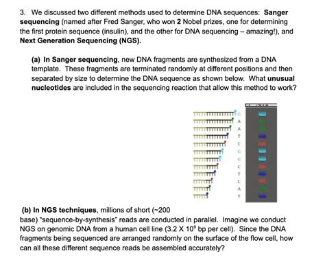 SOLVED: We discussed two different methods used to determine DNA ...