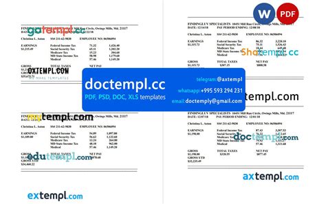 Findingluv specialits company pay stub template in PDF and Word format