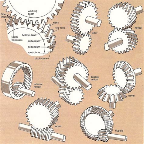 gears classification - MechanicsTips