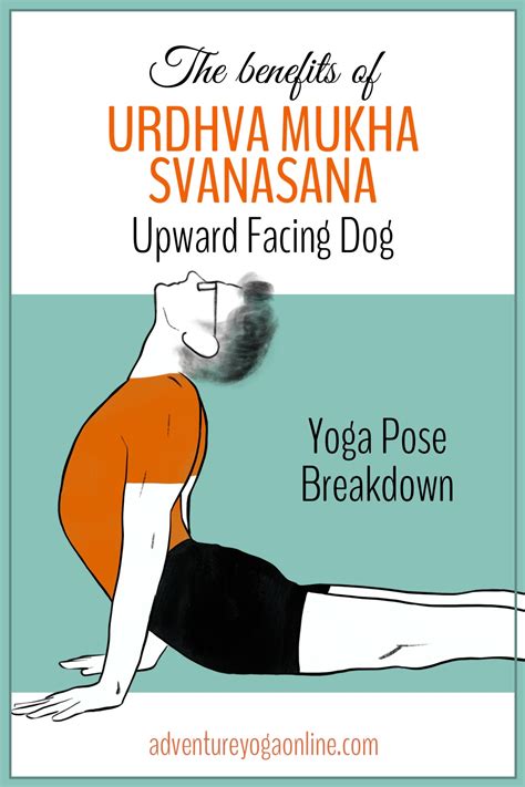 Urdhva Mukha Svanasana Benefits & Yoga Pose Tutorial - Adventure Yoga Online