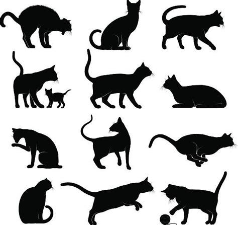 Kitten Illustrations, Royalty-Free Vector Graphics & Clip Art - iStock