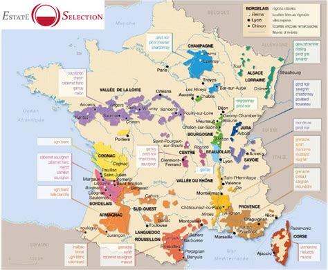 Vins de France - Estate Selection